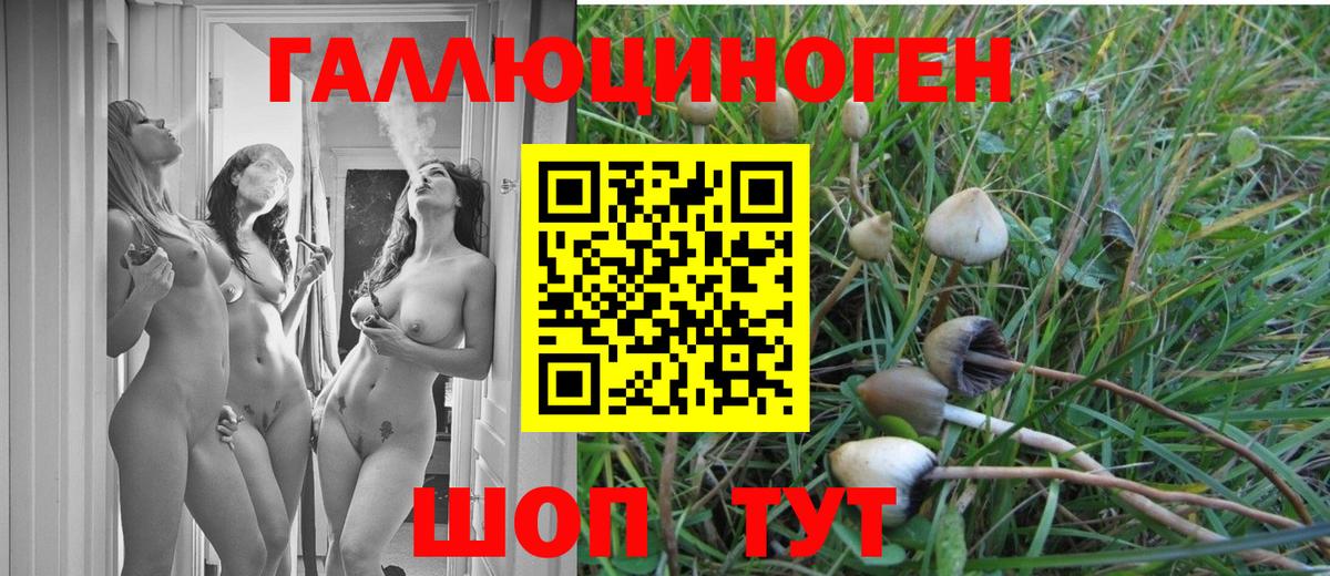 Псилоцибиновые грибы GOLDEN TEACHER  Вход с VPN  Моздок  Галлюциногенные грибы Cubensis 