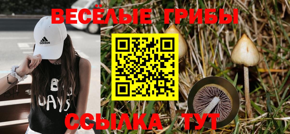 Галлюциногенные грибы мухоморы Моздок